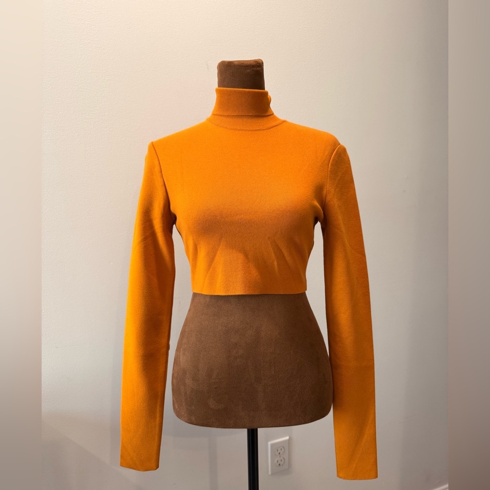 Zeynep Arcay Long Sleeve Turtleneck. Size 4